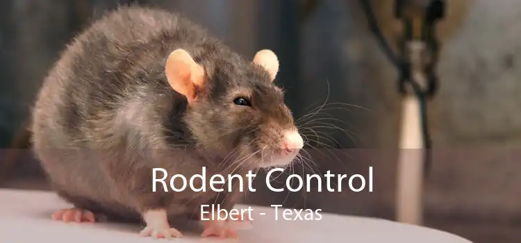 Rodent Control Elbert - Texas