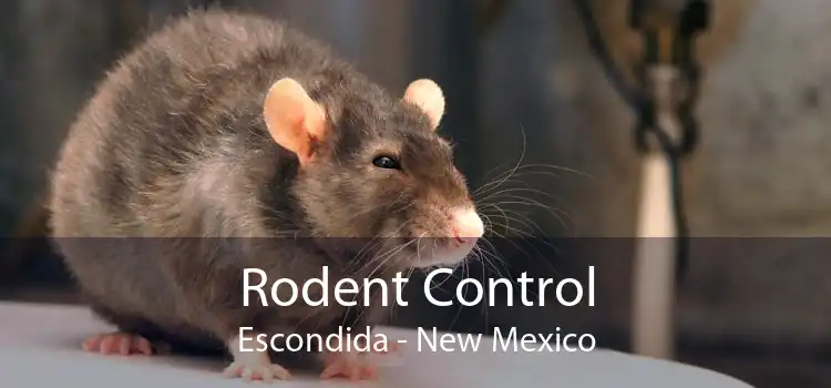 Rodent Control Escondida - New Mexico