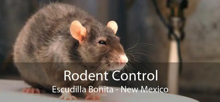 Rodent Control Escudilla Bonita - New Mexico