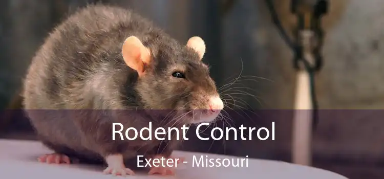 Rodent Control Exeter - Missouri