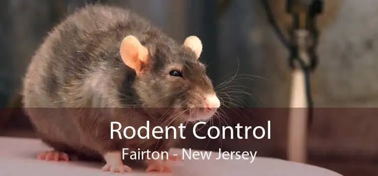 Rodent Control Fairton - New Jersey
