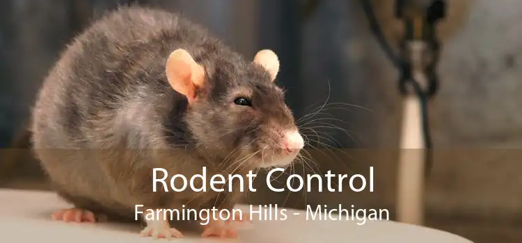 Rodent Control Farmington Hills - Michigan