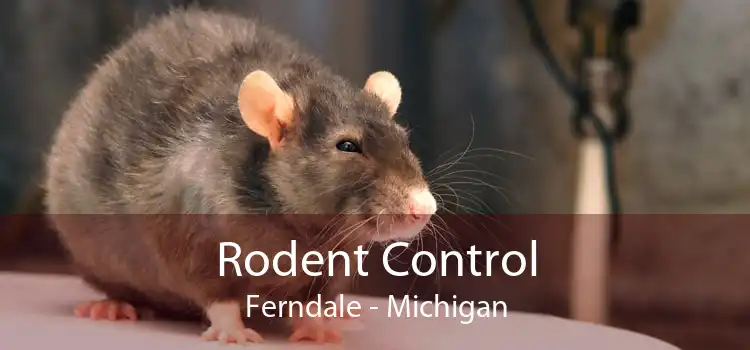 Rodent Control Ferndale - Michigan
