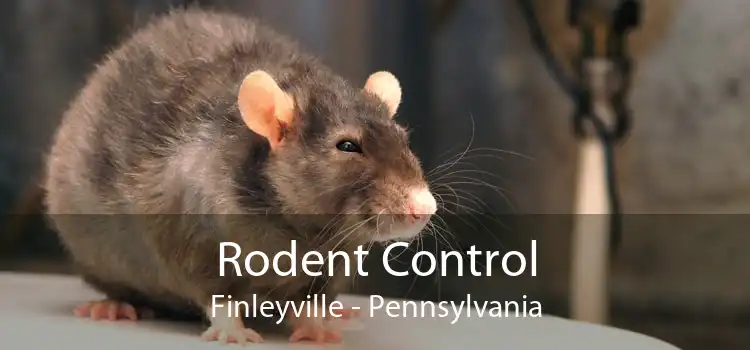 Rodent Control Finleyville - Pennsylvania