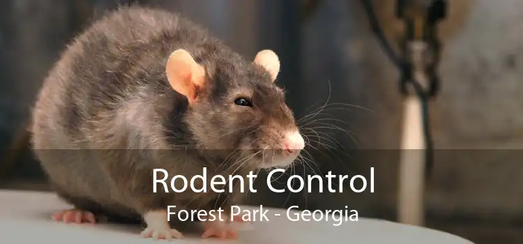 Rodent Control Forest Park - Georgia