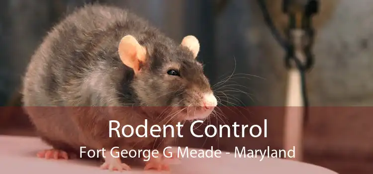 Rodent Control Fort George G Meade - Maryland