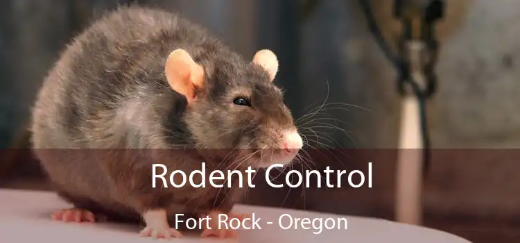 Rodent Control Fort Rock - Oregon