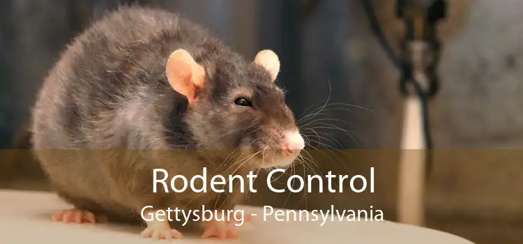 Rodent Control Gettysburg - Pennsylvania