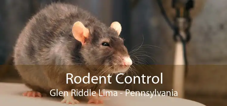 Rodent Control Glen Riddle Lima - Pennsylvania