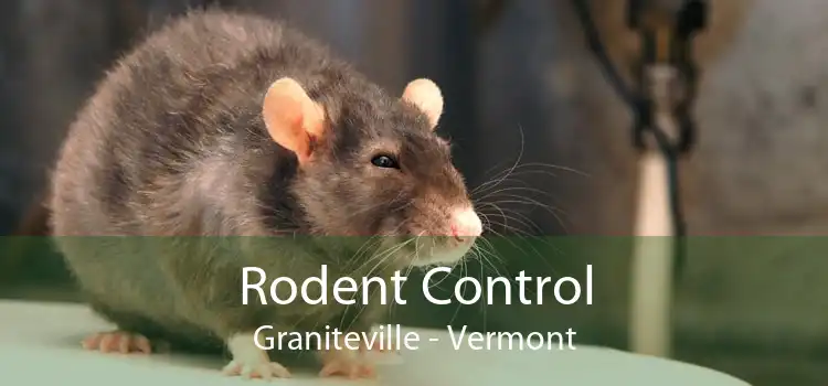 Rodent Control Graniteville - Vermont