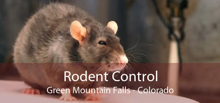 Rodent Control Green Mountain Falls - Colorado