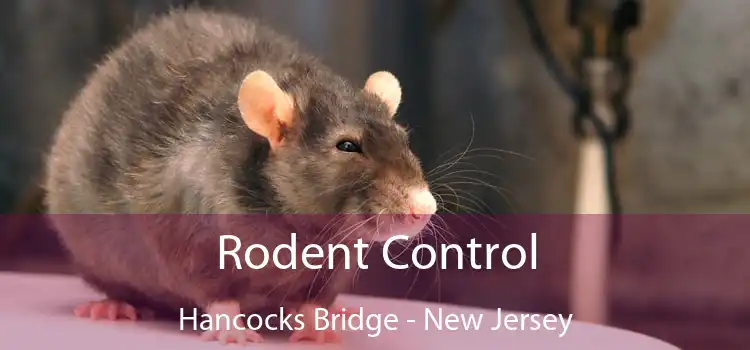 Rodent Control Hancocks Bridge - New Jersey