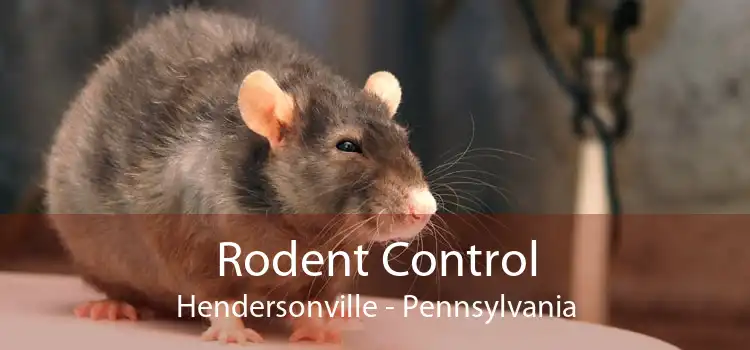 Rodent Control Hendersonville - Pennsylvania