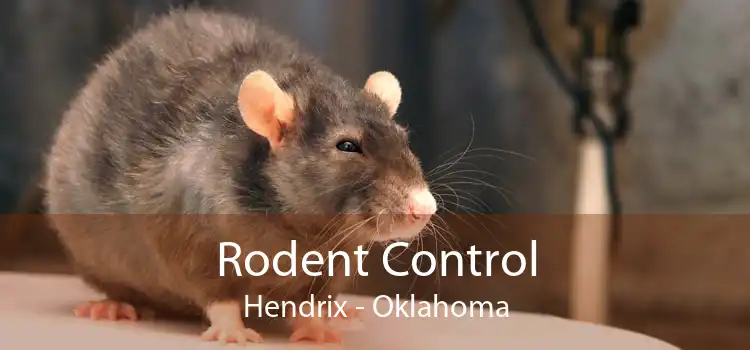 Rodent Control Hendrix - Oklahoma