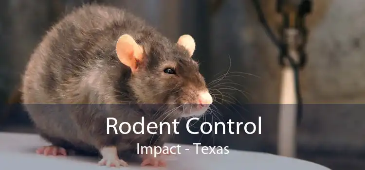 Rodent Control Impact - Texas