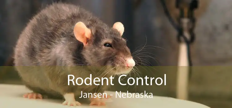 Rodent Control Jansen - Nebraska