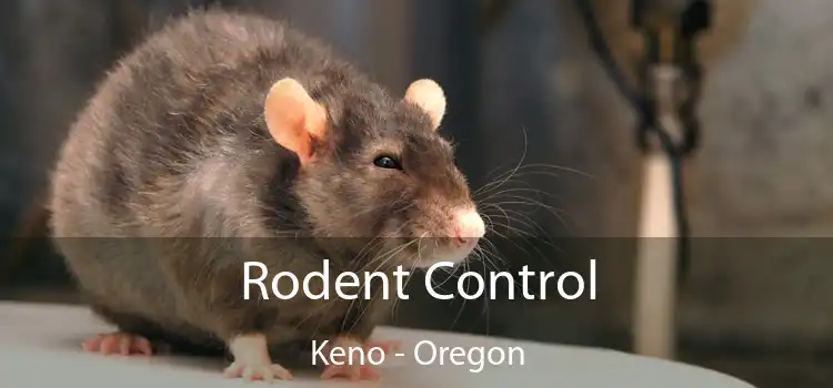 Rodent Control Keno - Oregon