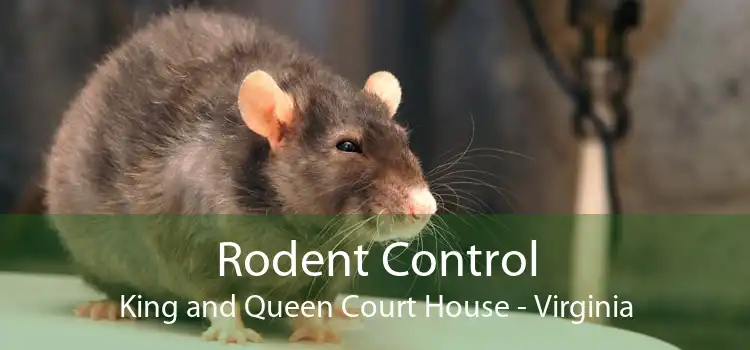 Rodent Control King and Queen Court House - Virginia