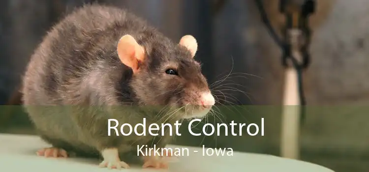 Rodent Control Kirkman - Iowa