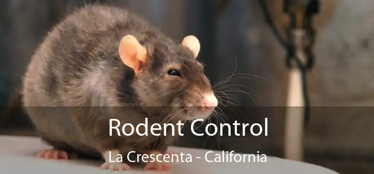 Rodent Control La Crescenta - California
