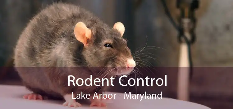 Rodent Control Lake Arbor - Maryland