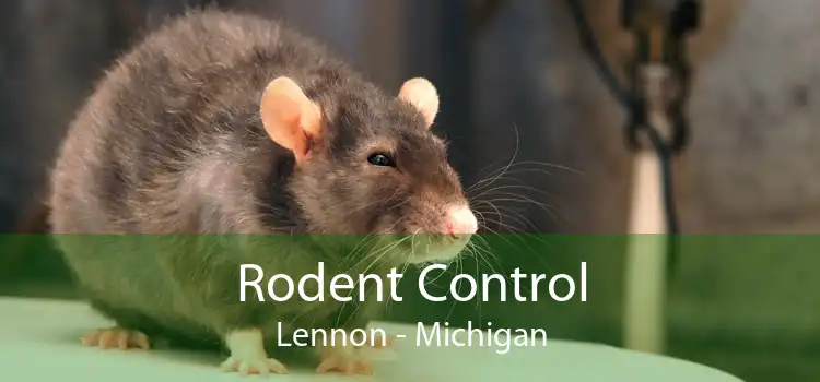 Rodent Control Lennon - Michigan