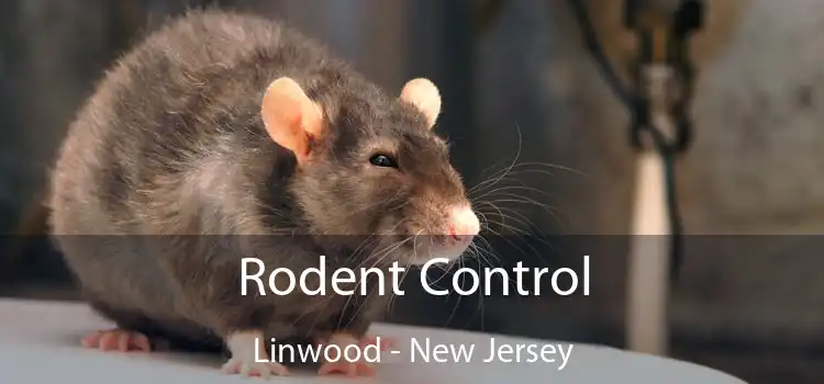 Rodent Control Linwood - New Jersey