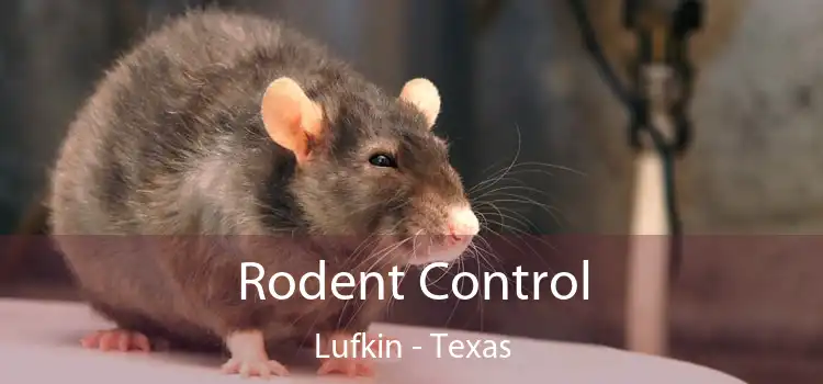 Rodent Control Lufkin - Texas