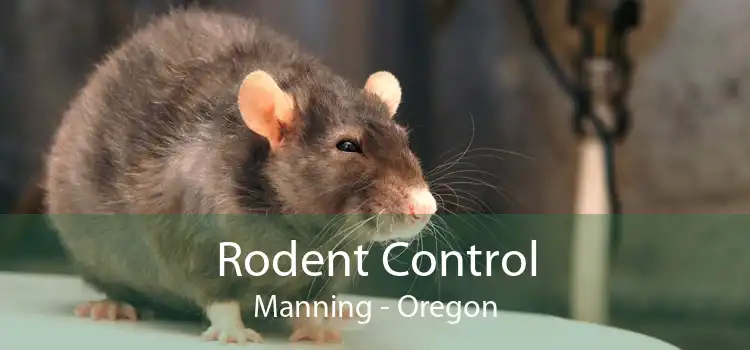 Rodent Control Manning - Oregon