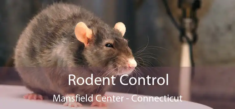 Rodent Control Mansfield Center - Connecticut