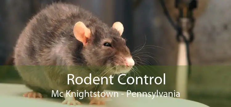 Rodent Control Mc Knightstown - Pennsylvania