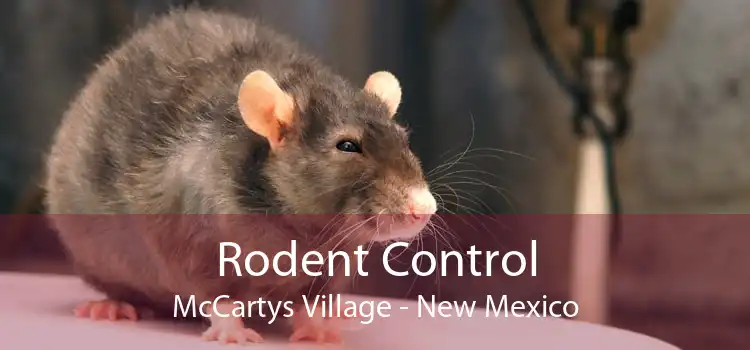 Rodent Control McCartys Village - New Mexico