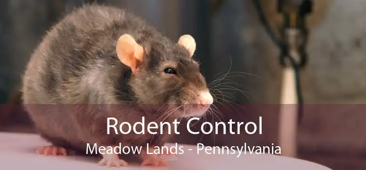 Rodent Control Meadow Lands - Pennsylvania