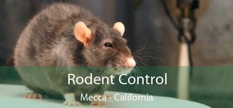 Rodent Control Mecca - California