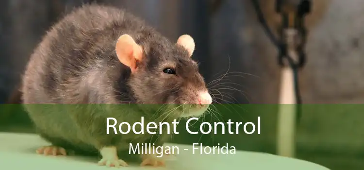 Rodent Control Milligan - Florida