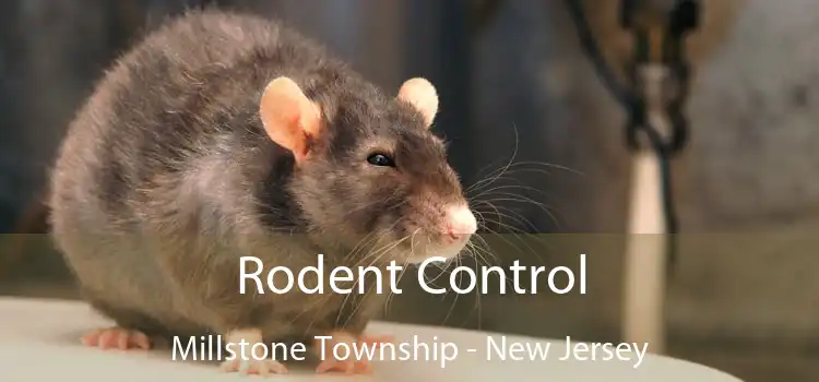 Rodent Control Millstone Township - New Jersey