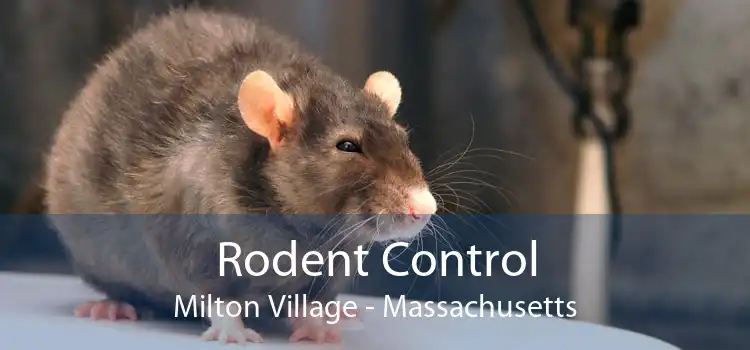 Rodent Control Milton Village - Massachusetts