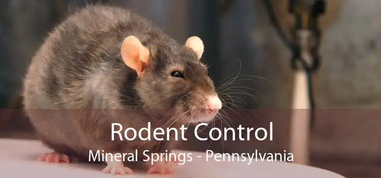 Rodent Control Mineral Springs - Pennsylvania