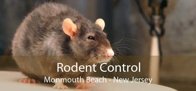 Rodent Control Monmouth Beach - New Jersey