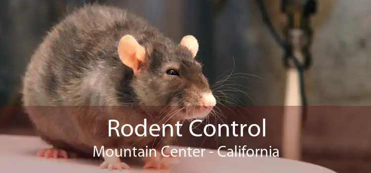 Rodent Control Mountain Center - California