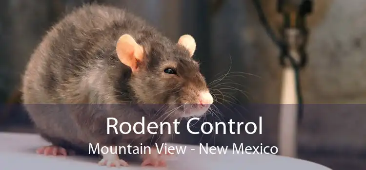 Rodent Control Mountain View - New Mexico