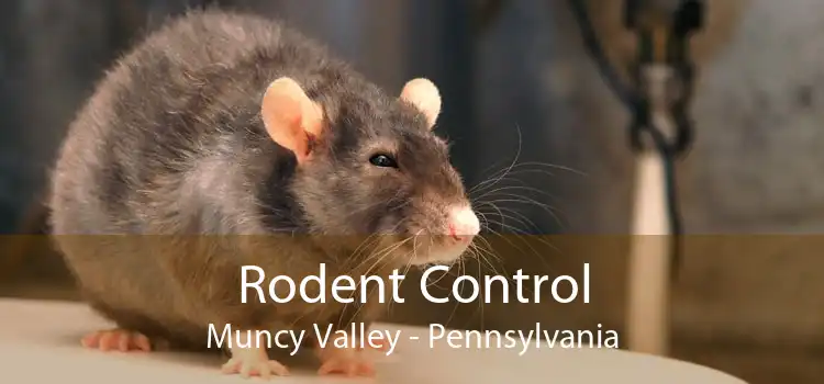 Rodent Control Muncy Valley - Pennsylvania