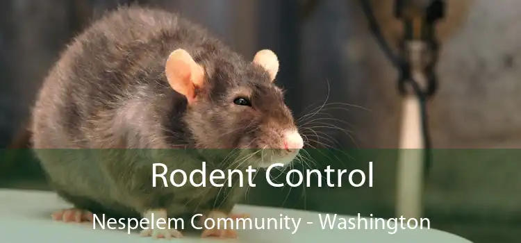 Rodent Control Nespelem Community - Washington