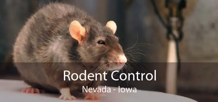 Rodent Control Nevada - Iowa
