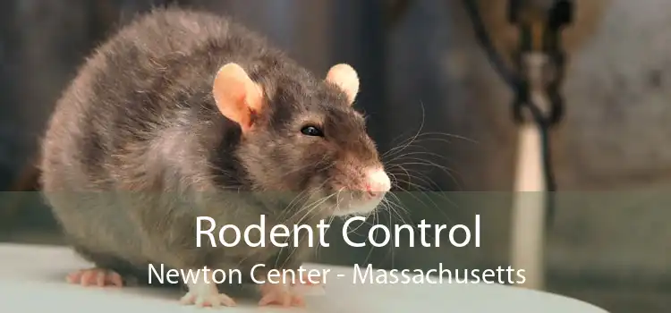 Rodent Control Newton Center - Massachusetts