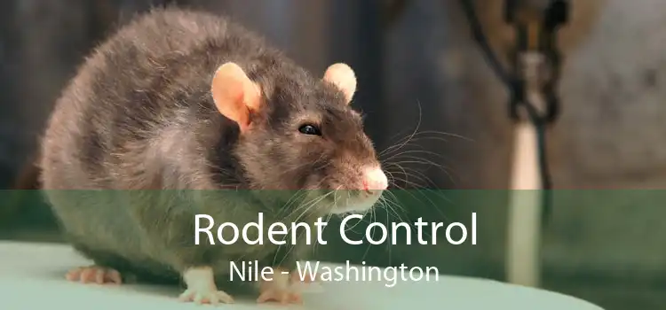 Rodent Control Nile - Washington