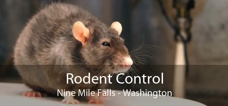 Rodent Control Nine Mile Falls - Washington
