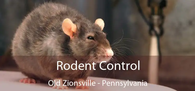 Rodent Control Old Zionsville - Pennsylvania