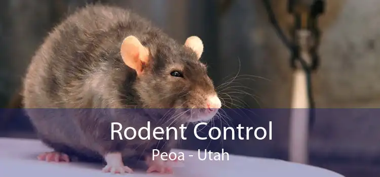 Rodent Control Peoa - Utah