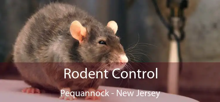 Rodent Control Pequannock - New Jersey